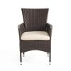 Clementine Outdoor Multibrown PE Wicker Dining Chairs (Set of 2)
